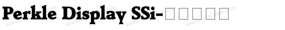 Perkle Display SSi字体转换